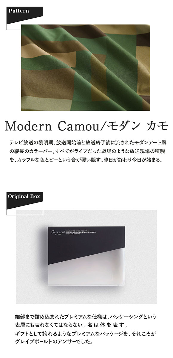 グレイブボールト Gravevault Modern Camou Tバック ビキニ ブリーフ 前とじ メンズ ML