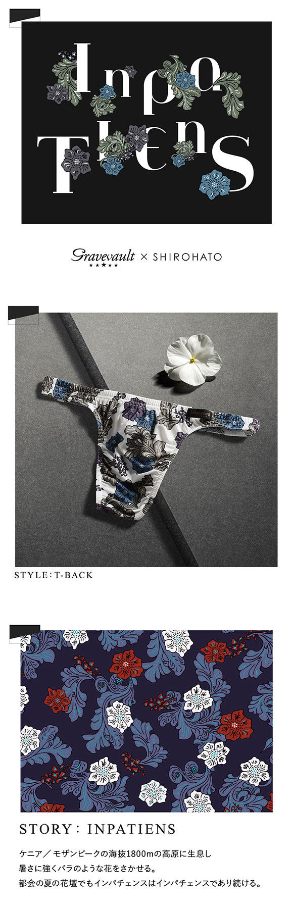 グレイブボールト Gravevault×SHIROHATO 別注 限定カラー Impatients Tバック ビキニ  ML メンズ 前とじ 3052436S