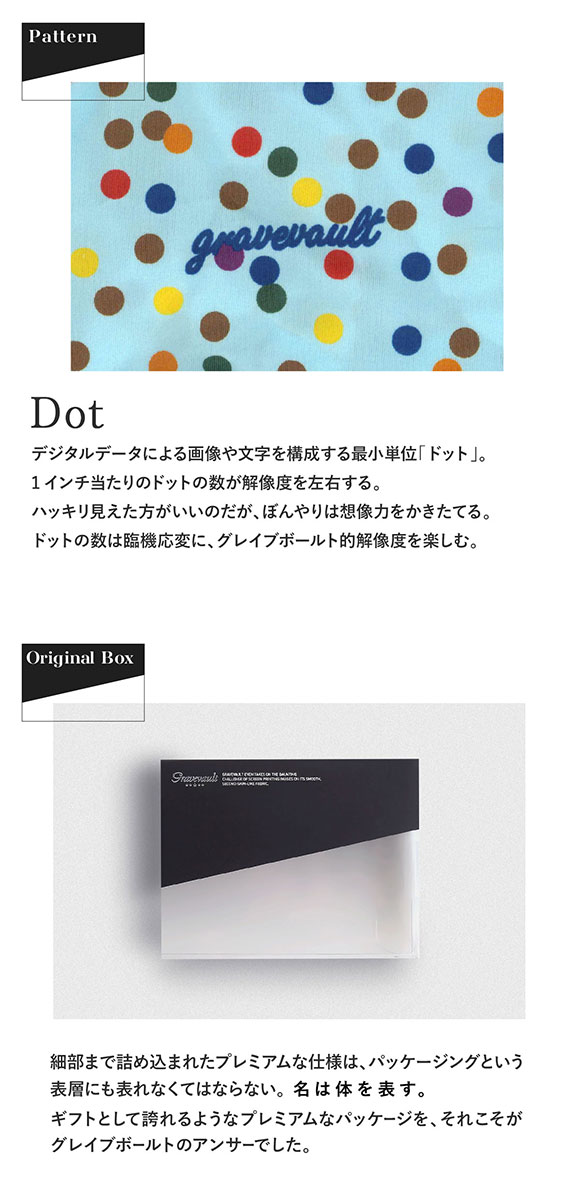 グレイブボールト Dot Tバック ビキニ メンズ Gravevault 日本製