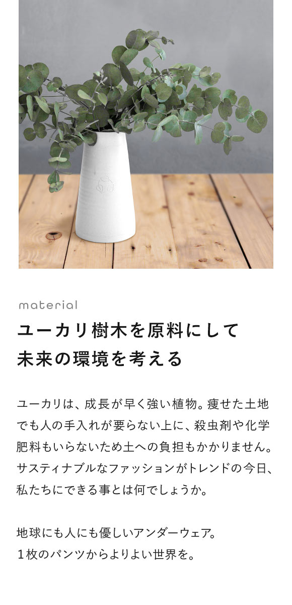 グレイブボールトGravevault × SHIROHATO 別注 naturale due フルバック ビキニ ブリーフ メンズ M L 天然由来