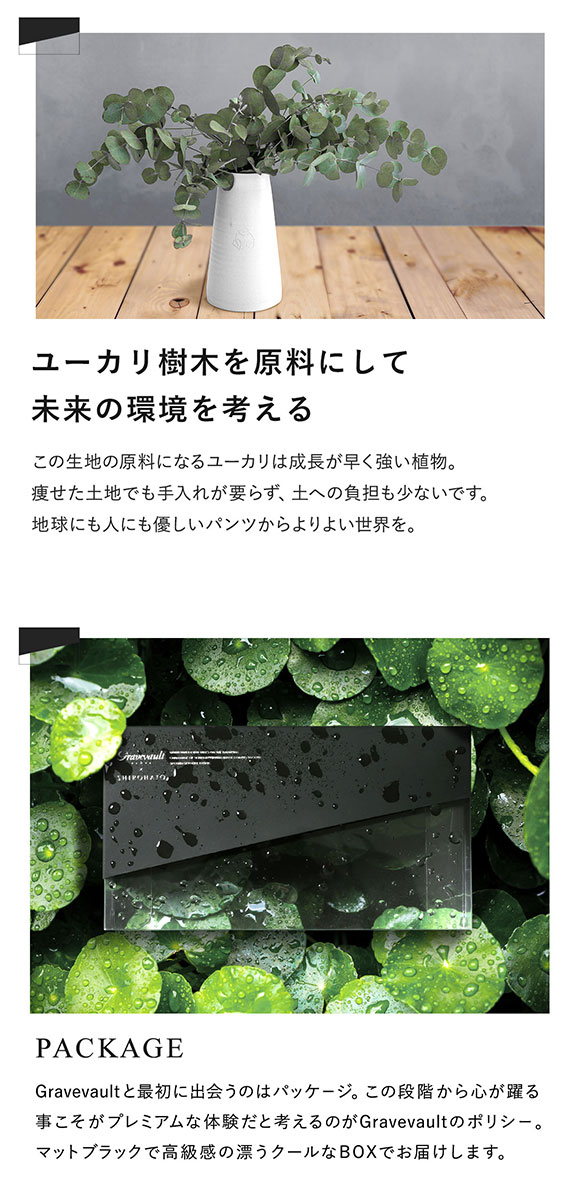 グレイブボールトGravevault × SHIROHATO 別注 naturale bande Tバック ビキニ メンズ M L