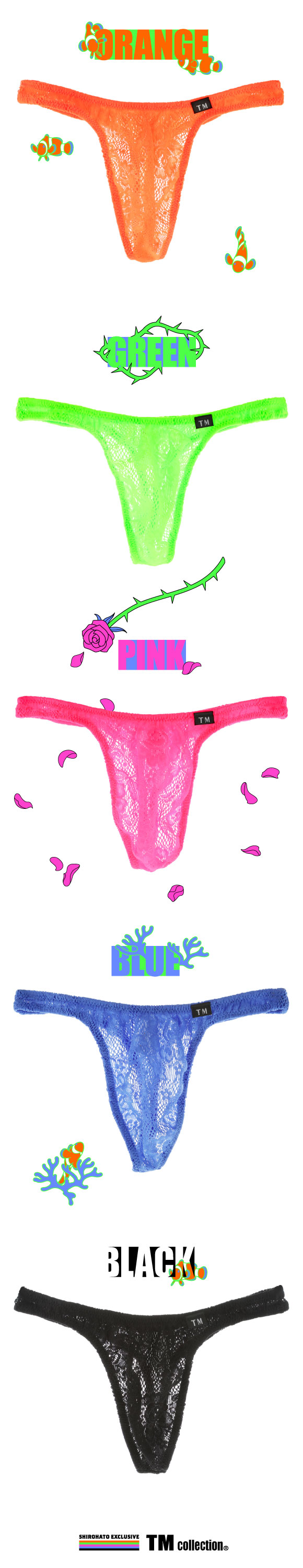 ティーエム コレクション TM collection × SHIROHATO コラボ ウーリーレース 股下細め Tバック ビキニ M L LL