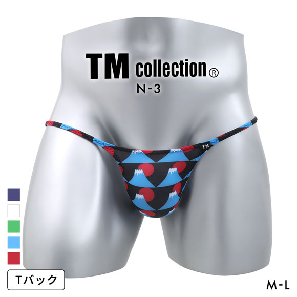 ティーエム コレクション N-3 National Flag ハギナシシャープ Tバック ビキニ メンズ TM collection