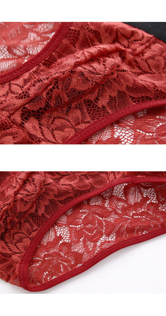 NEW SENSATION 総レース ビキニ ブリーフ フルバック M L LL メンズ パンツ アウトゴム アンダーウェア シースルー ショーツ 父の日