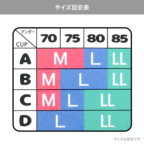 セレブビューティー モールドカップ ノンワイヤー ブラジャー 大きいサイズ ワイヤレスブラ Tシャツブラ M L LL Celeb Beauty