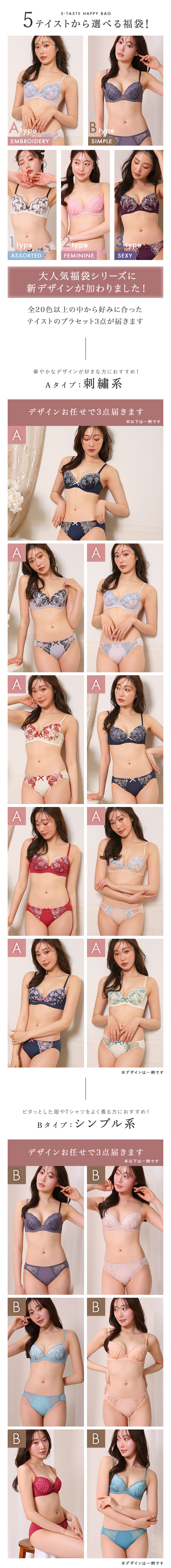 ブラジャー ショーツ 3点セット 福袋 選べる5タイプ おまかせ 刺繍レース おしゃれ シンプル B80 C80 D80 E80 F80