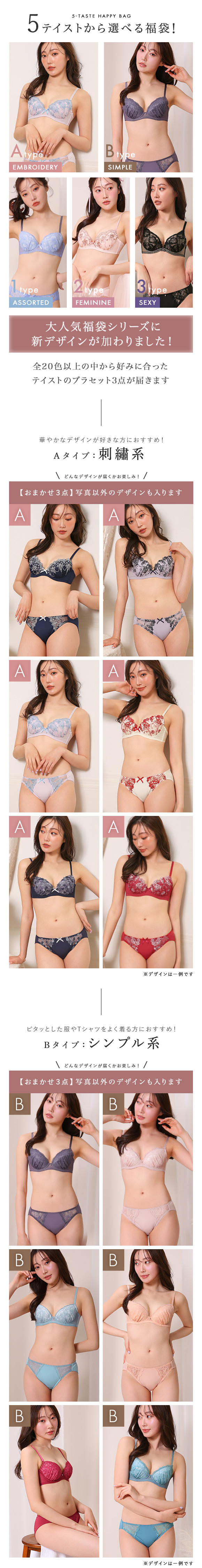 ブラジャー ショーツ 3点セット 福袋 選べる5タイプ おまかせ 刺繍レース おしゃれ シンプル B80 C80 D80 E80 F80