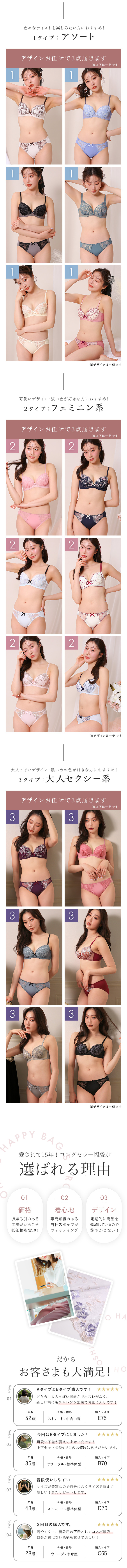 ブラジャー ショーツ 3点セット 福袋 選べる5タイプ おまかせ 刺繍レース おしゃれ シンプル B80 C80 D80 E80 F80