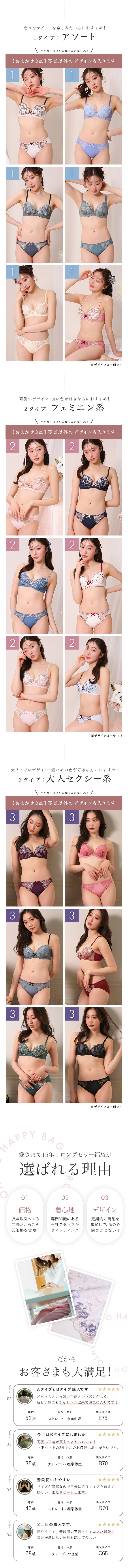 ブラジャー ショーツ 3点セット 福袋 選べる5タイプ おまかせ 刺繍レース おしゃれ シンプル B80 C80 D80 E80 F80