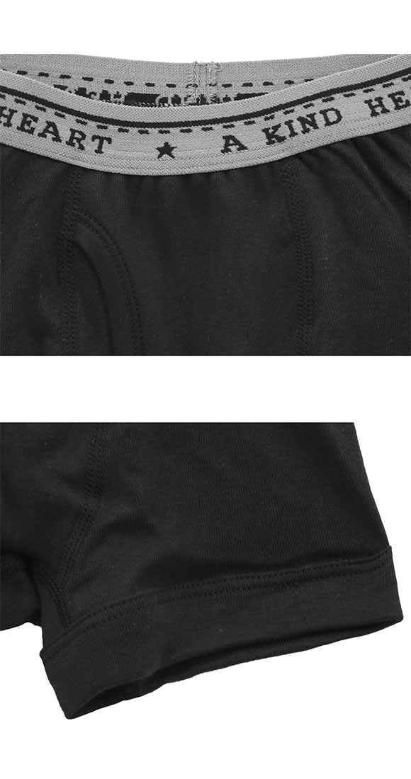 グンゼ GUNZE キッズ ジュニア 無地 ボクサーパンツ 2枚組 男児 子供肌着 綿100％ 100-160