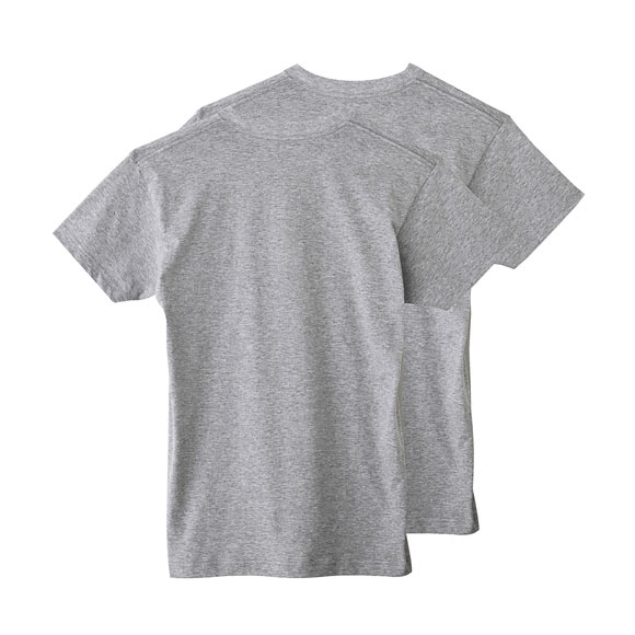 グンゼ GUNZE ボディワイルド BODY WILD VネックTシャツ メンズ 2枚組 抗菌防臭 綿100％ 半袖