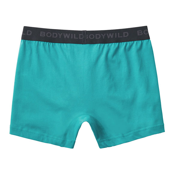 グンゼ GUNZE ボディワイルド BODY WILD ボクサーパンツ メンズ 前あき 綿混素材