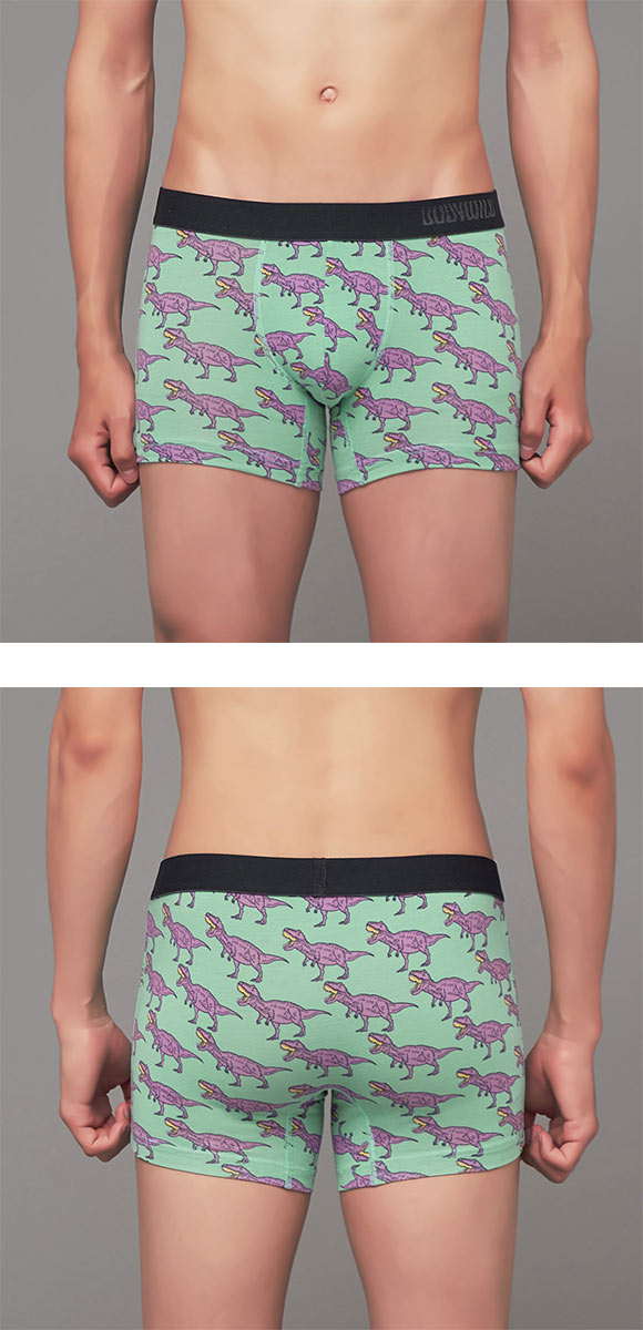 グンゼ BODY WILD T.Rex柄 ボクサーパンツ 前閉じ メンズ 綿混 GUNZE ボディワイルド