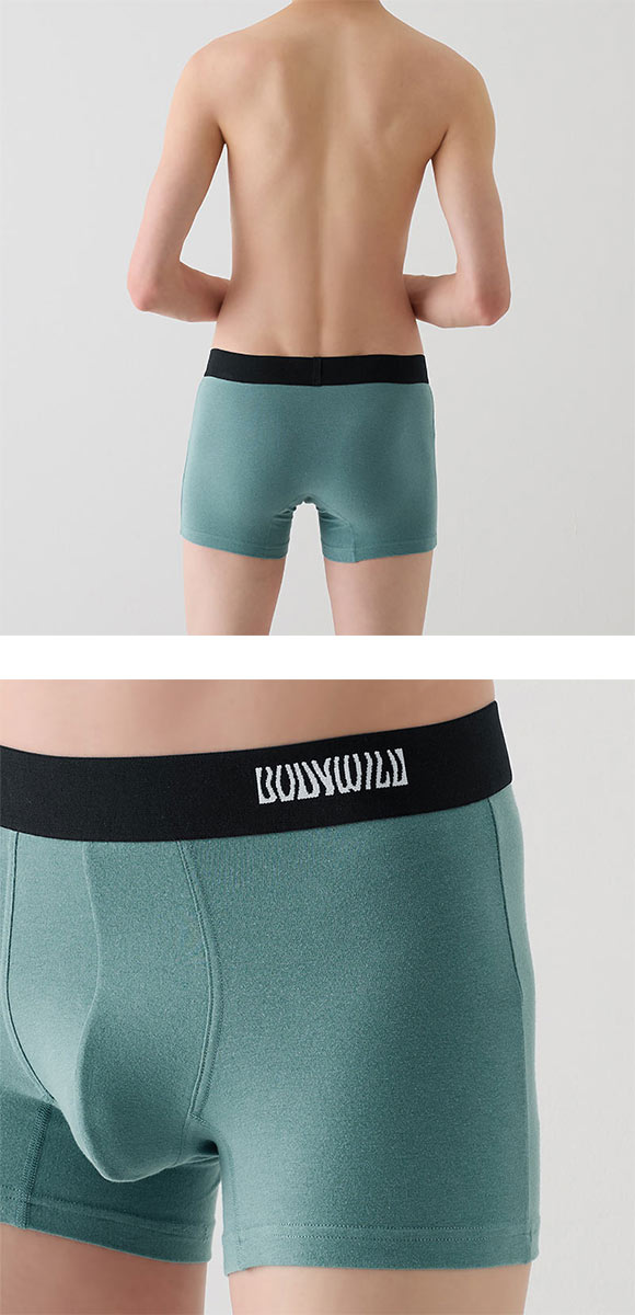 グンゼ GUNZE ボディワイルド BODY WILD 前閉じ ボクサーパンツ メンズ オーガニックコットン混 M L