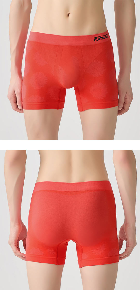 ボディワイルド ボクサーパンツ 立体成型 抗菌防臭 メンズ 前閉じ BODYWILD