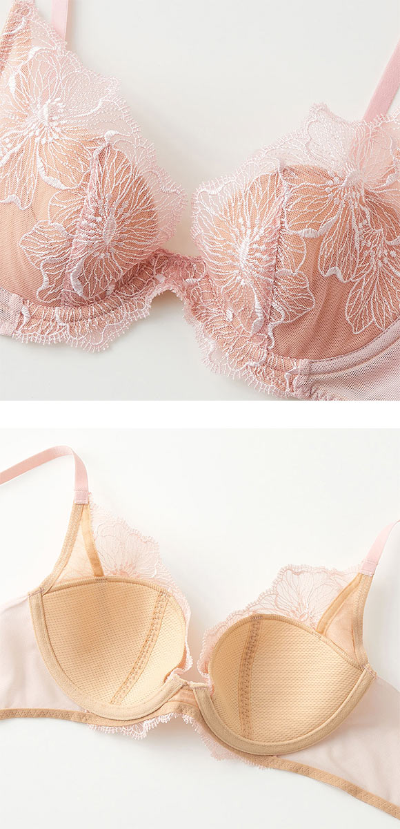 グンゼ GUNZE トゥシェ Tuche more more sheer BRA 盛らない派の透明感ブラ ブラジャー レディース 単品