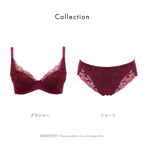ルシアン LECIEN to Liftブラ ショーツ スタンダード M･L･LL 単品