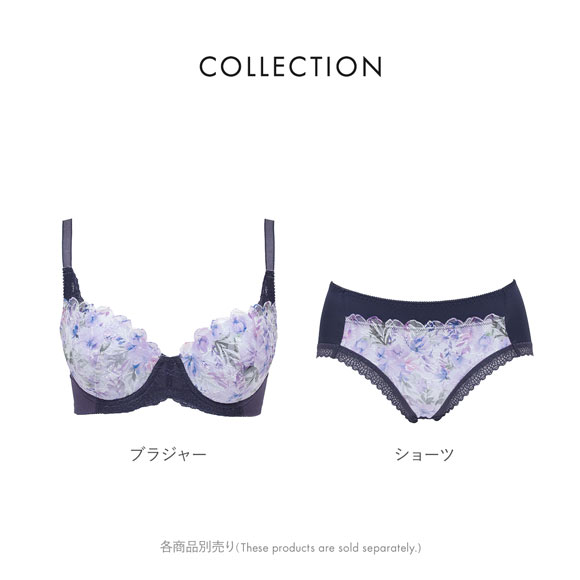 ルシアン キレイ魅せ 脇やせメイクブラ ペアショーツ スタンダード M L LL  履きこみ丈深め LECIEN