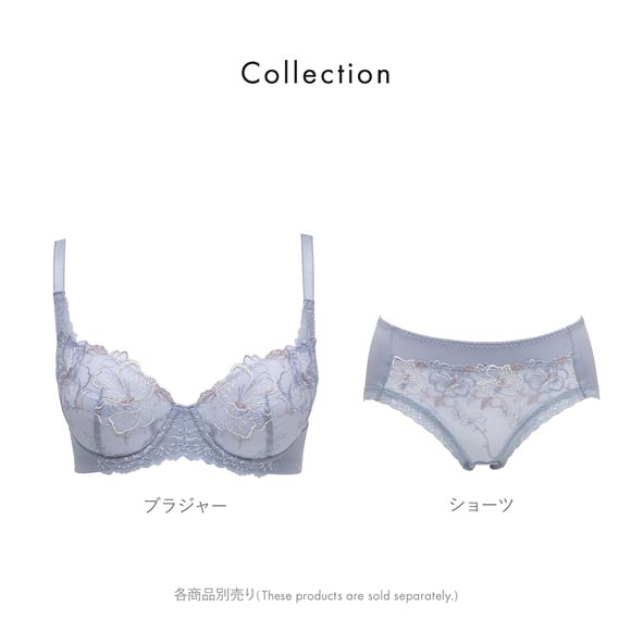 ルシアン キレイ魅せ 脇やせメイクブラ ペアショーツ スタンダード M L LL 大きいサイズ 履きこみ丈深め LECIEN