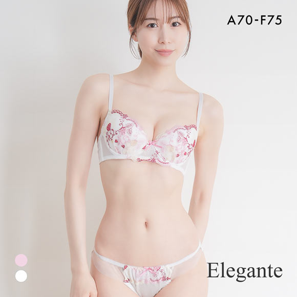 エレガント ロマンティックストロベリー ブラセット ABCDEF 大きいサイズ グラマー ブラジャー ショーツ セット Elegante