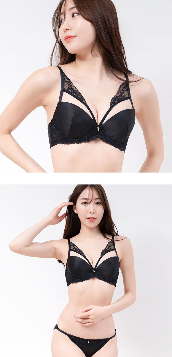 エレガント レーシィデコルテ×マットサテン ブラセット ABCDEF 大きいサイズ 脇高 谷間 ブラセット ブラジャー ショーツ Elegante