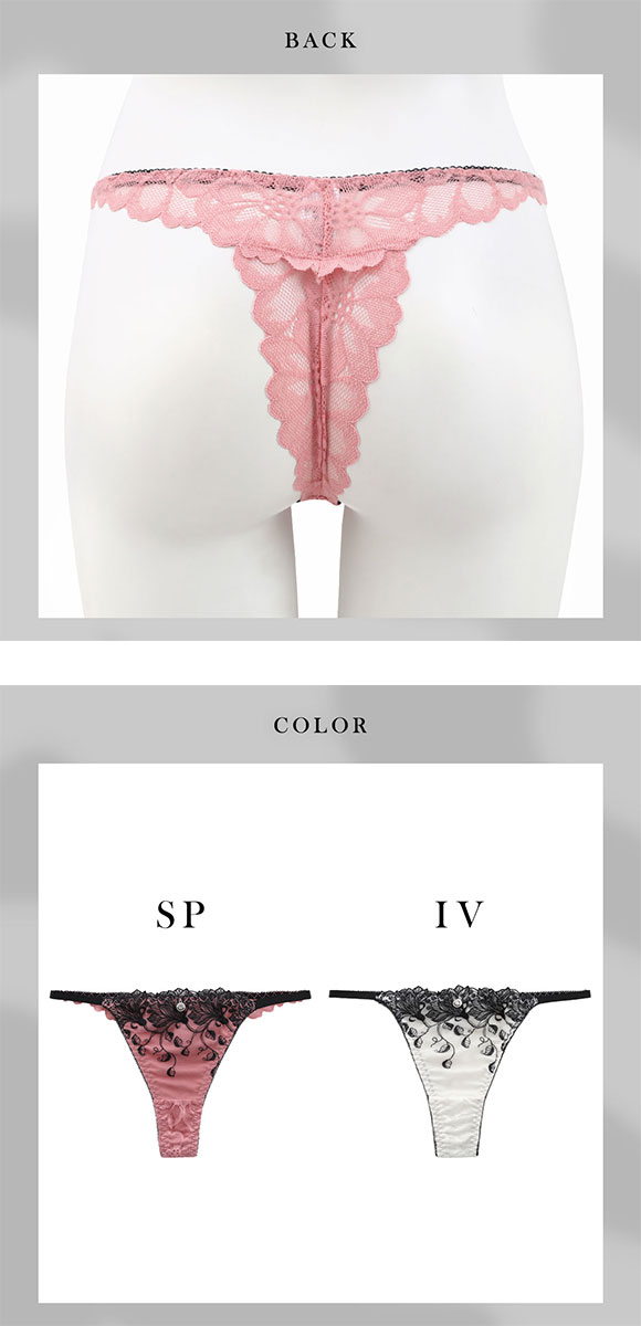 エレガント 線画調レース Tバックショーツ M L LL 3L 4L 5L 大きいサイズ グラマー 総レース ひびきにくい タンガ ソング Elegante