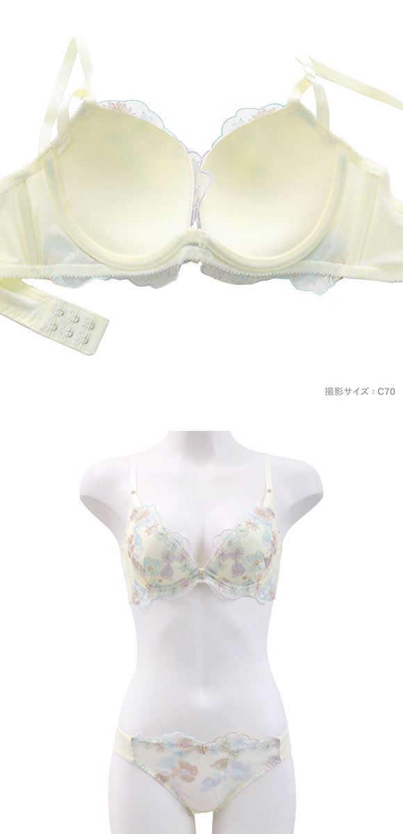 パンキュート チャーミングピオニー ブラセット ABCDEF 大きいサイズ グラマー リフトアップ ブラジャー ショーツ セット