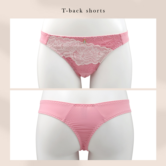 エレガント バイカラーレーシー ブラセット 3点セット Tバック GHI65-95 大きいサイズ グラマー 谷間 寄せ ブラジャー ショーツ セット Elegante