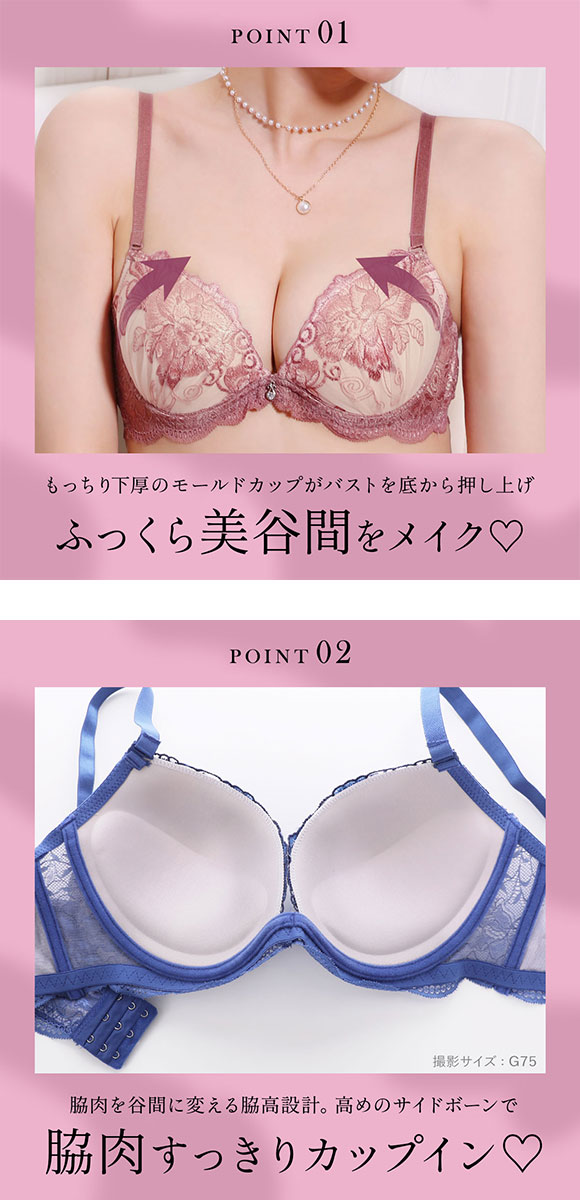 エレガント 脇肉を谷間に変える脇高ブラ ブリリアントローズ ブラセット GHI65-95 大きいサイズ グラマー ブラジャー ショーツ セット 脇寄せ 谷間 Elegante
