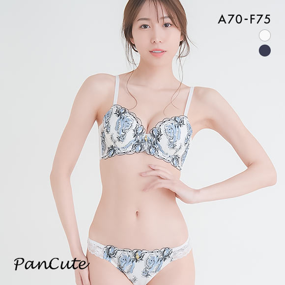 パンキュート 脇肉を谷間に変える脇高ブラ アーティスティックローズ ブラセット ABCDEF 脇寄せ ブラジャー ショーツ セット
