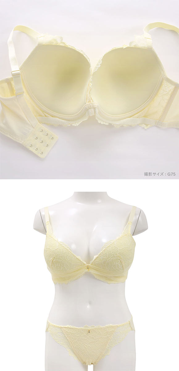 パンキュート レーシーヴェール ブラセット CDEF80-95 大きいサイズ グラマー 脇高 谷間 寄せ 盛り胸 総レース ブラジャー ショーツ