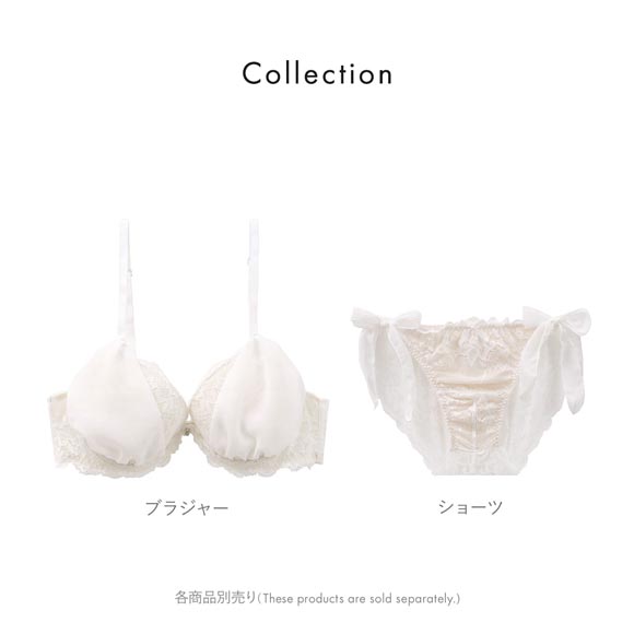 エレガント 脇高 レースシフォン メンズ体型用ショーツ M-4L 大きいサイズ Elegante