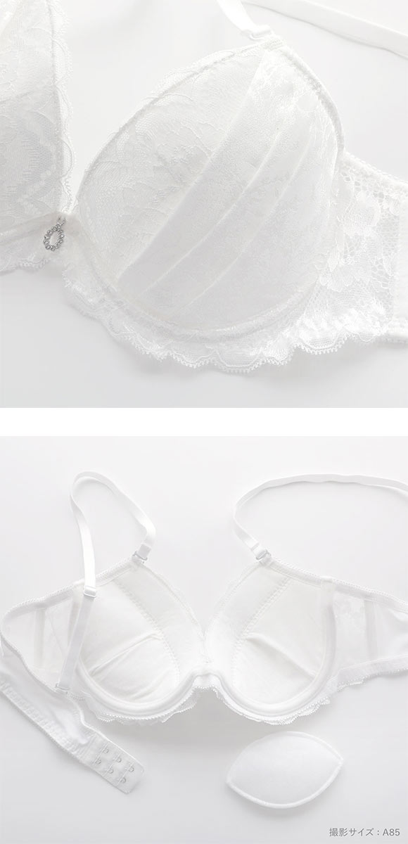 エレガント ジャガードサテン メンズ体型用ブラジャー メンズブラ MTF Elegante