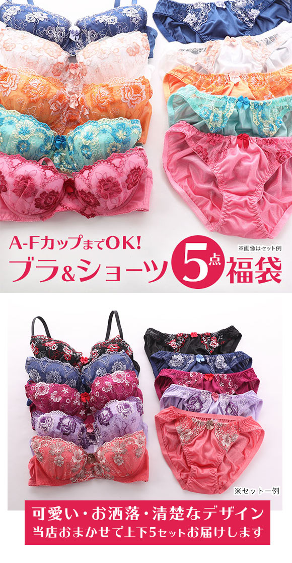 ブラジャー ショーツ 5点セット 福袋 おまかせ レース ABCDEFカップ グラマーサイズ