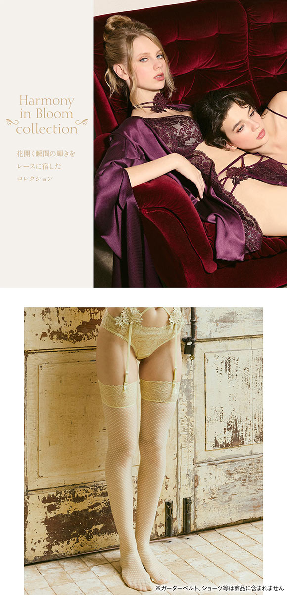 アンブラ Harmony in Bloom チェック柄ガーターストッキング ANNEBRA