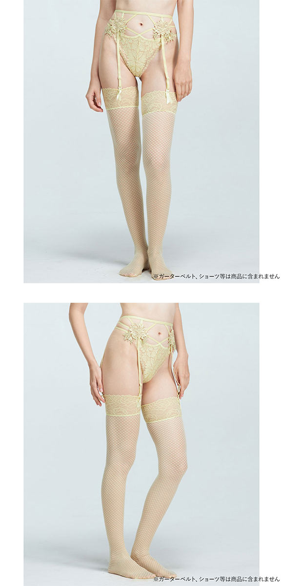 アンブラ Harmony in Bloom チェック柄ガーターストッキング ANNEBRA