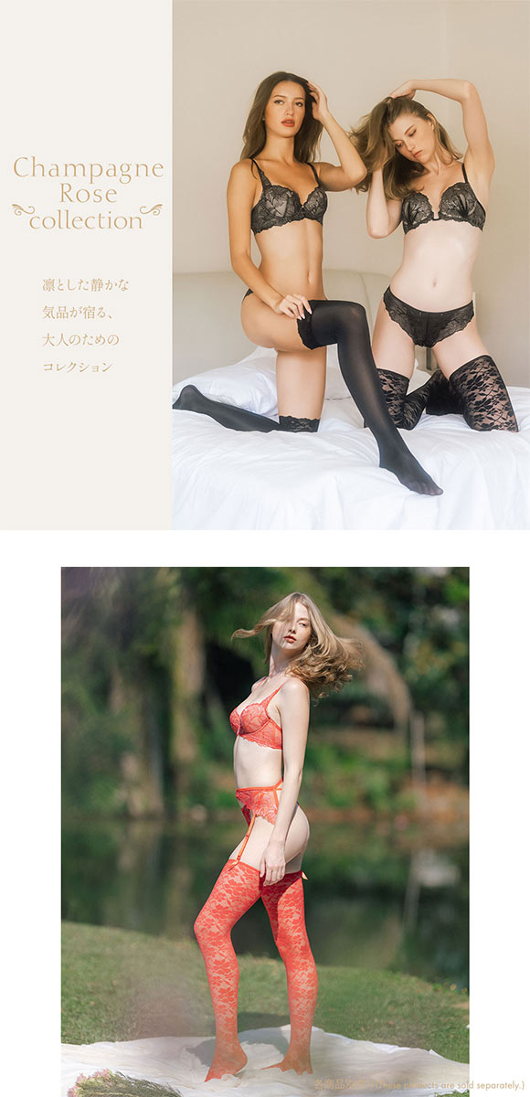 アンブラ Champagne Rose レースガーターストッキング 下着 ANNEBRA