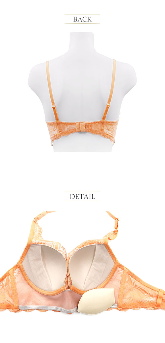 アンブラ Luxe バックデザイン2WAY ロングブラジャー 大きいサイズ ANNEBRA