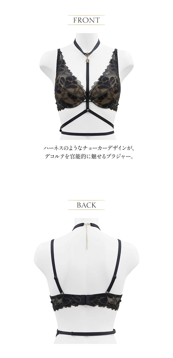 ブラジャー 大きいサイズ セクシー ハーネス付き  アンブラ Whispers デコルテレース モールドカップブラジャー ANNEBRA