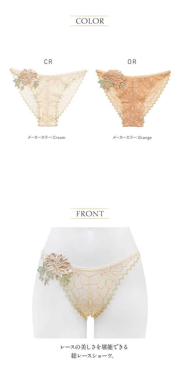 アンブラ ANNEBRA Heart ノーマル モチーフレースショーツ 総レース 単品