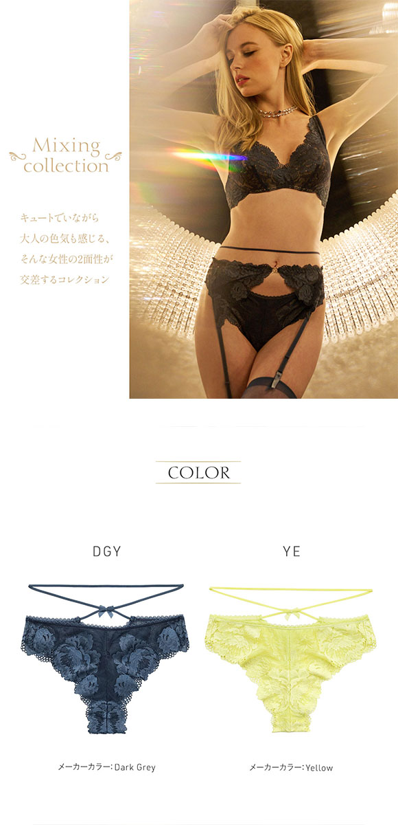 アンブラ ANNEBRA Mixing ストリングデザインレースショーツ 総レース 単品