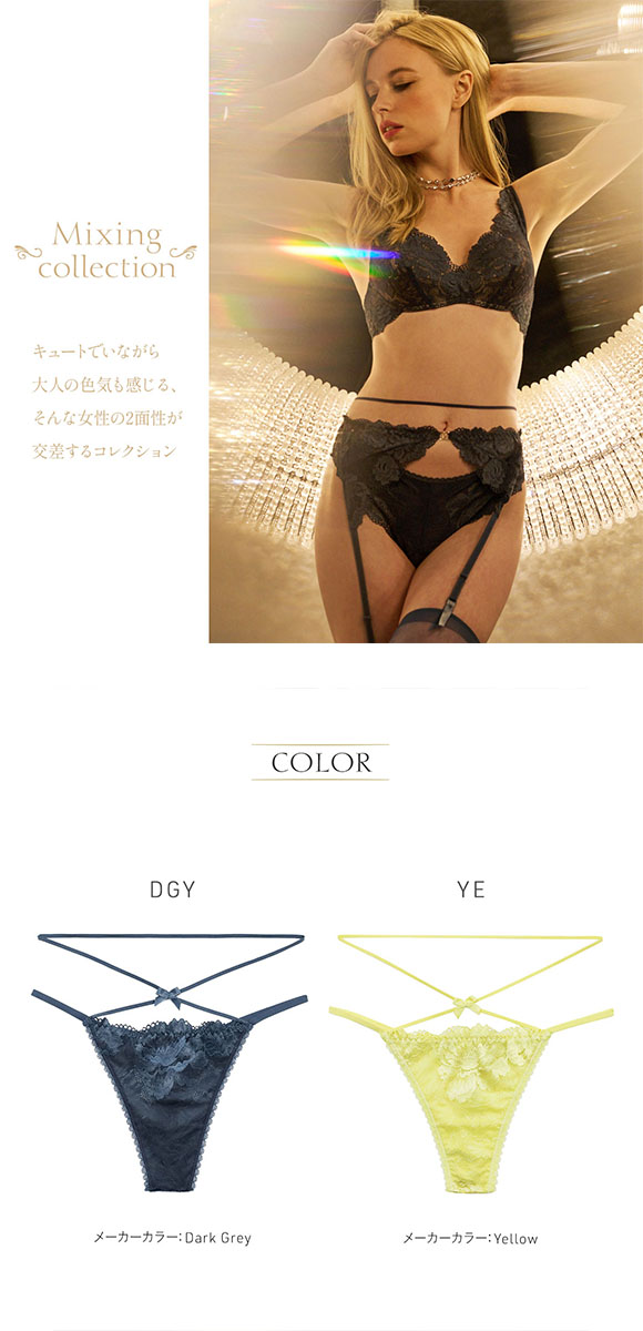 アンブラ ANNEBRA Mixing ストリングデザインレースソング タンガ Tバックショーツ 総レース 単品