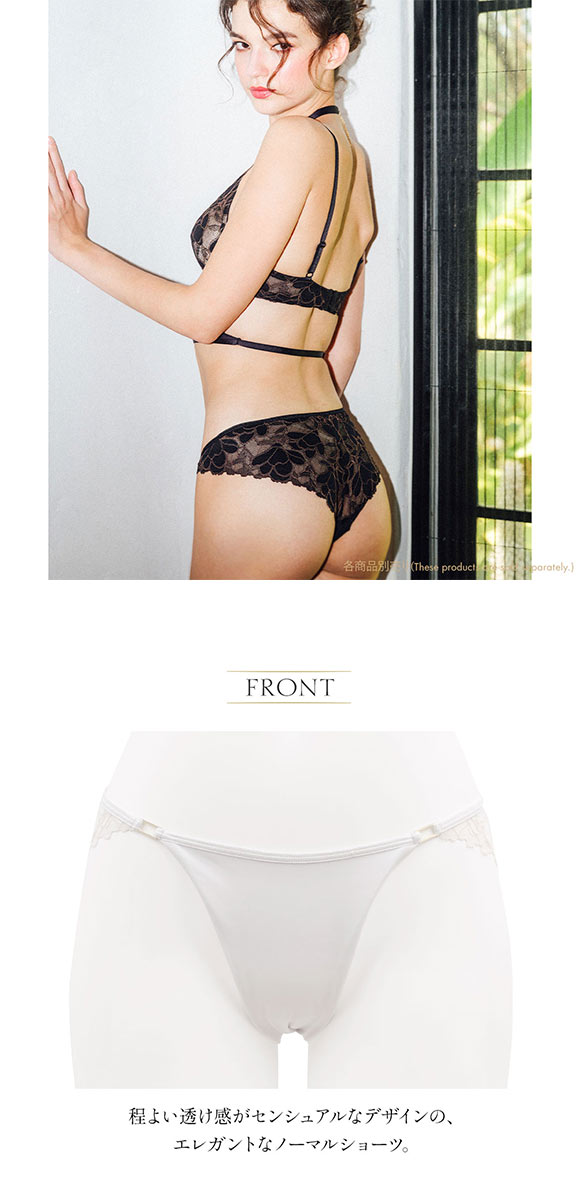 ショーツ レディース セクシー 大きいサイズ ノーマルショーツ アンブラ Whispers  レースショーツ ANNEBRA