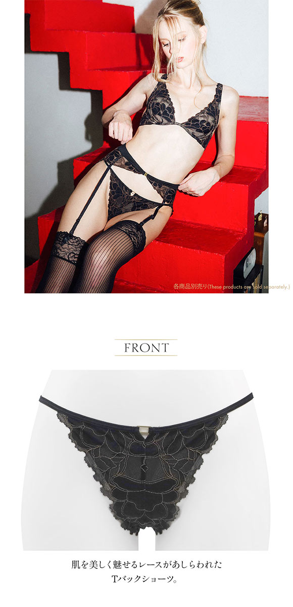 Tバック レディース ショーツ 大きいサイズ セクシー アンブラ Whispers レースソング ANNEBRA