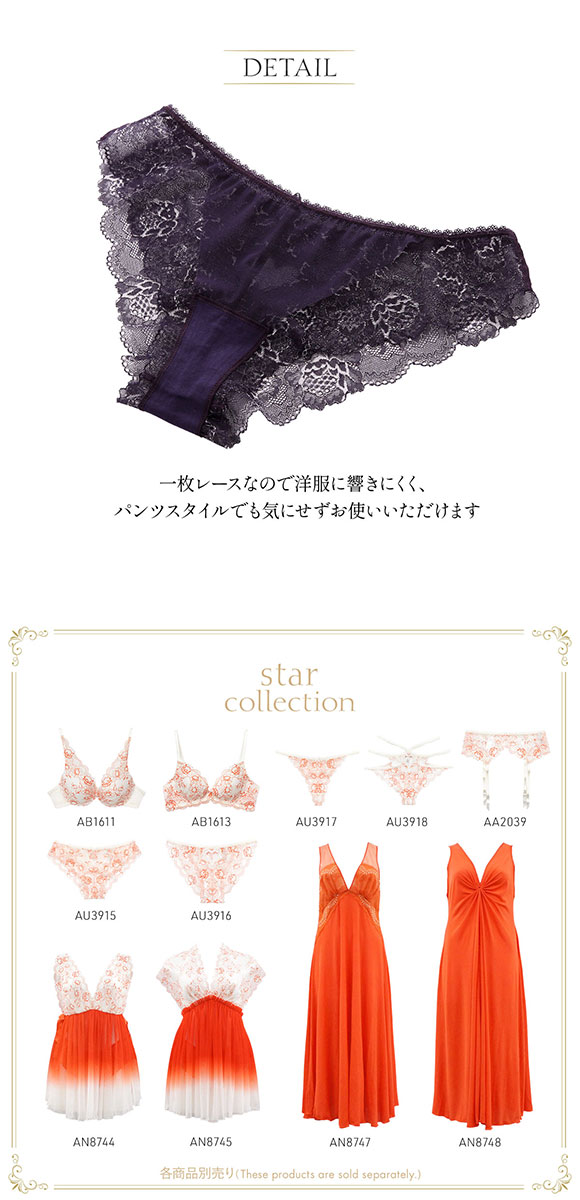 アンブラ ANNEBRA Star デザイン ショーツ ヒップハング 総レース 単品