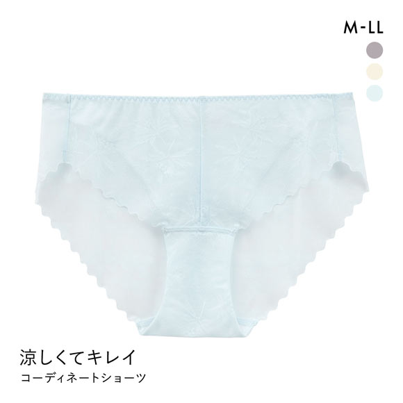 涼しくキレイ 涼感ブラ ペアショーツ レディース スタンダード ノーマル M L LL 大きいサイズ