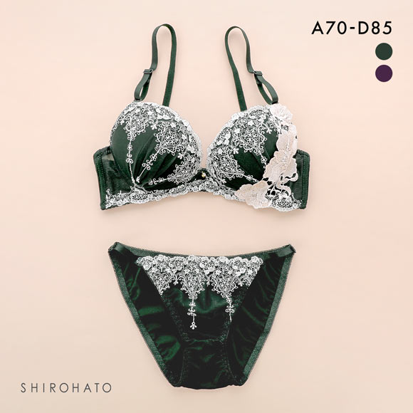 エクラ ブラジャー ショーツ セット 大花ケミカル ECLAT
