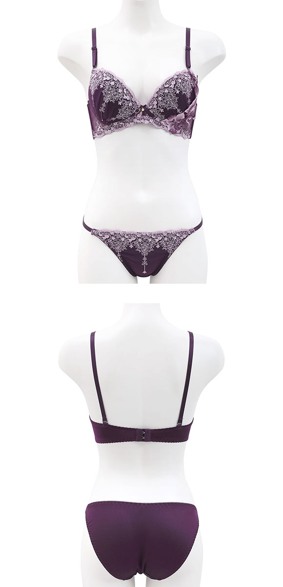 エクラ ブラジャー ショーツ セット 大花ケミカル ECLAT