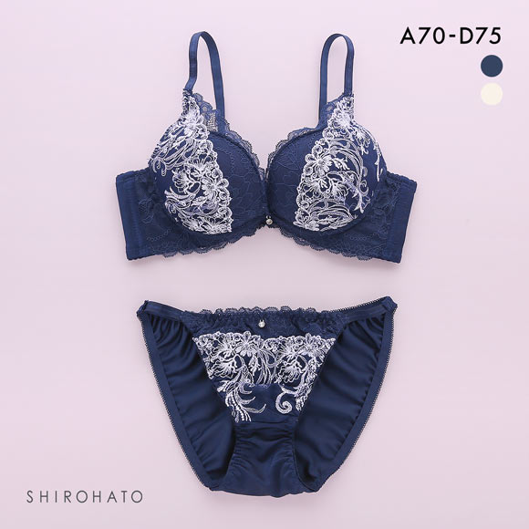 エクラ ブラジャー ショーツ セット 脇高カシュクールレース チュールレース ECLAT