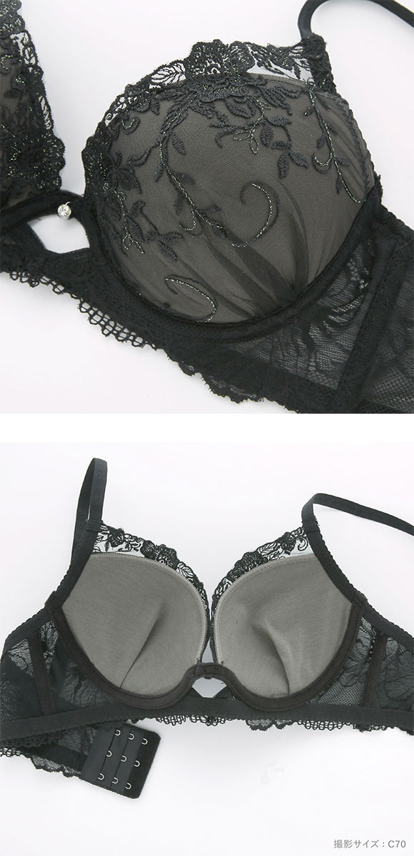 ピュアシェリ ブラジャー ショーツ セット 脇高ラメ入花柄チュール バックレース PURECHERIE